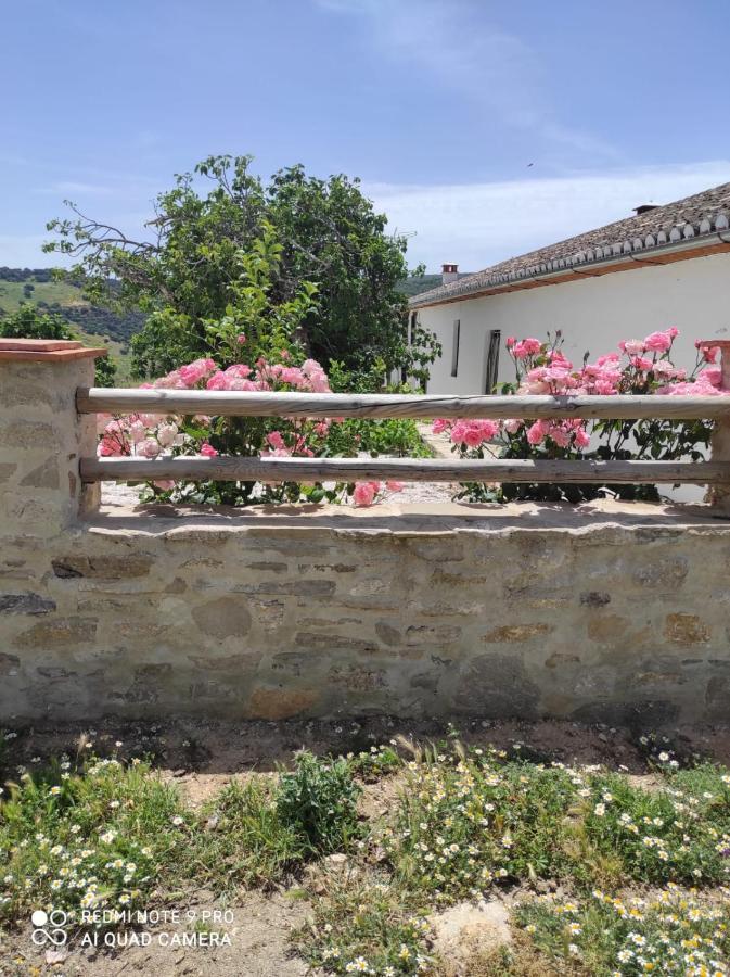 Cortijo La Laguna รอนดา ภายนอก รูปภาพ