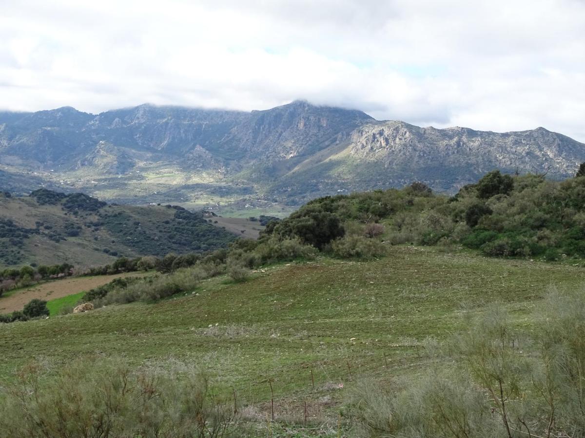 Cortijo La Laguna รอนดา ภายนอก รูปภาพ